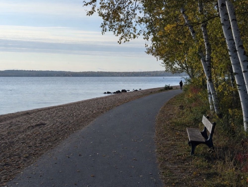 A paved lakeside path beside a pebble beach and a row of birch trees, one bench looking out over calm water